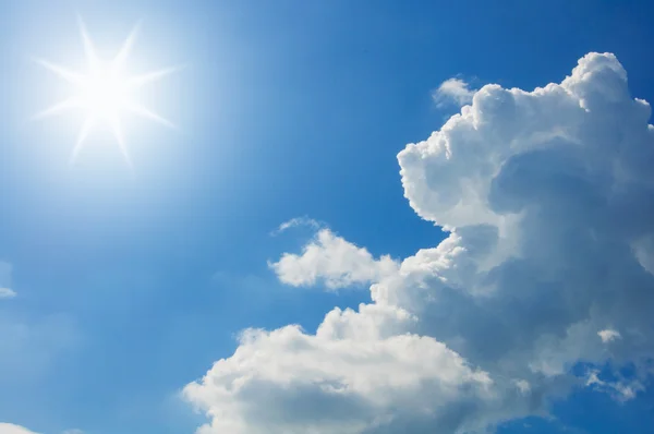 Altas temperaturas habrían provocado paros cardíacos a personas de la zona sur del país