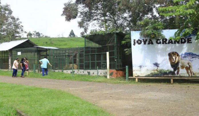 Director de OABI presenta denuncia en el MP por desvío millonario de fondos de Joya Grande
