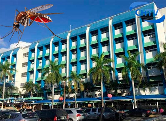 El dengue cobra la vida de tres menores en San Pedro Sula