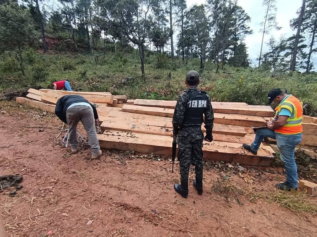 Fuerzas Armadas decomisan más de 8,700 pies tablares de madera tras identificar tala ilegal en Olancho