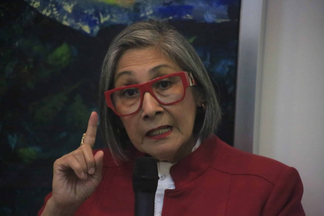 Maribel Espinoza presenta algunas ideas de su plan estratégico en caso de llegar a la presidencia de la República