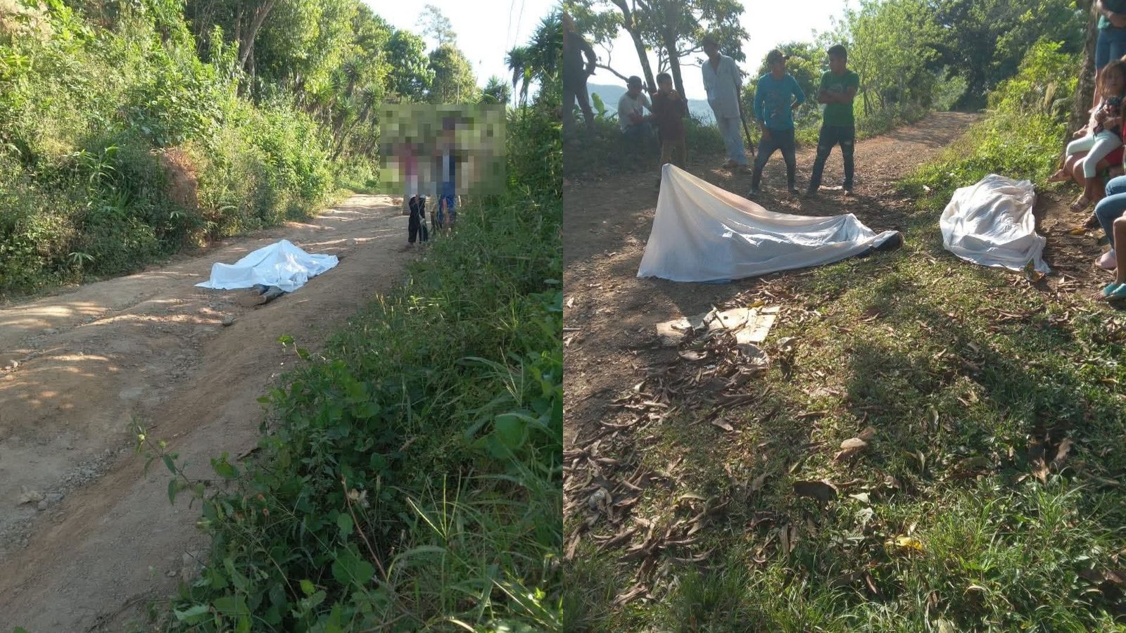 ¡Violencia imparable! Se registra nueva masacre que deja cuatro muertos en El Negrito, Yoro