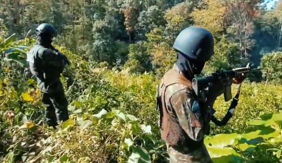 Localizan y aseguran nueva plantación de arbustos hoja de coca en Parque Nacional Reserva Botaderos