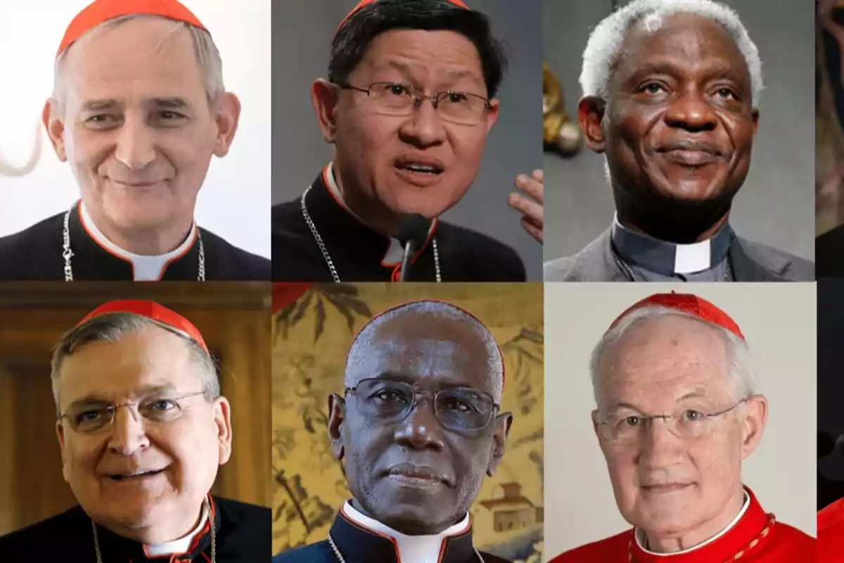 ¿Quiénes podrían sustituir al Papa Francisco?