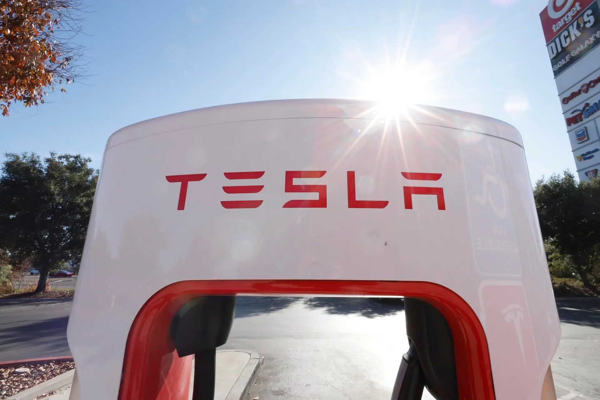 Tesla cae un 14 % en bolsa tras tensarse la disputa entre Trump y Musk