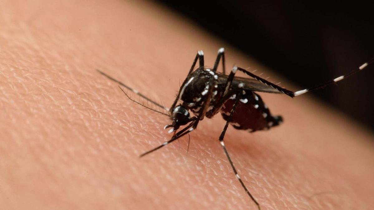 Honduras registra más de 16 mil casos sospechosos de dengue y siete muertes en 2025
