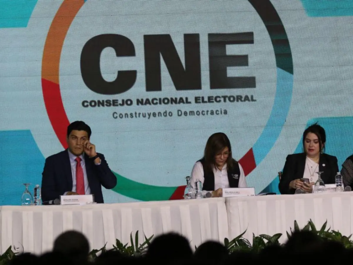 Asociación Libertad y Democracia pide respetar la declaratoria oficial del CNE