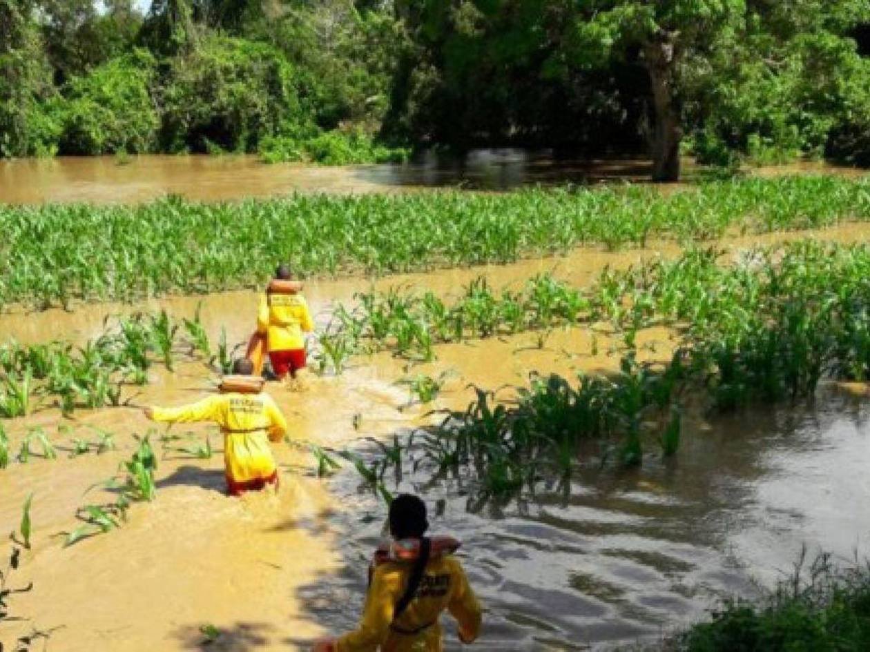 Fuertes lluvias golpean al agro en el norte del país y dejan más de 6 mil familias y hasta 3 mil productores afectados por temporal