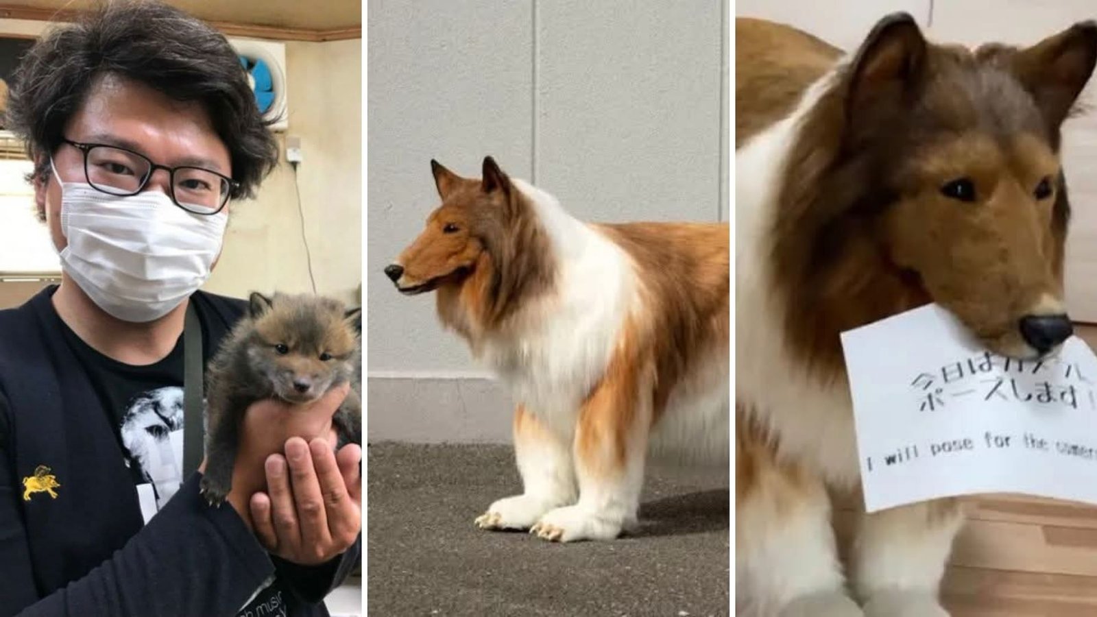 El hombre que soñaba con ser un perro por fin lo consiguió y así luce luego de su aterradora transformación