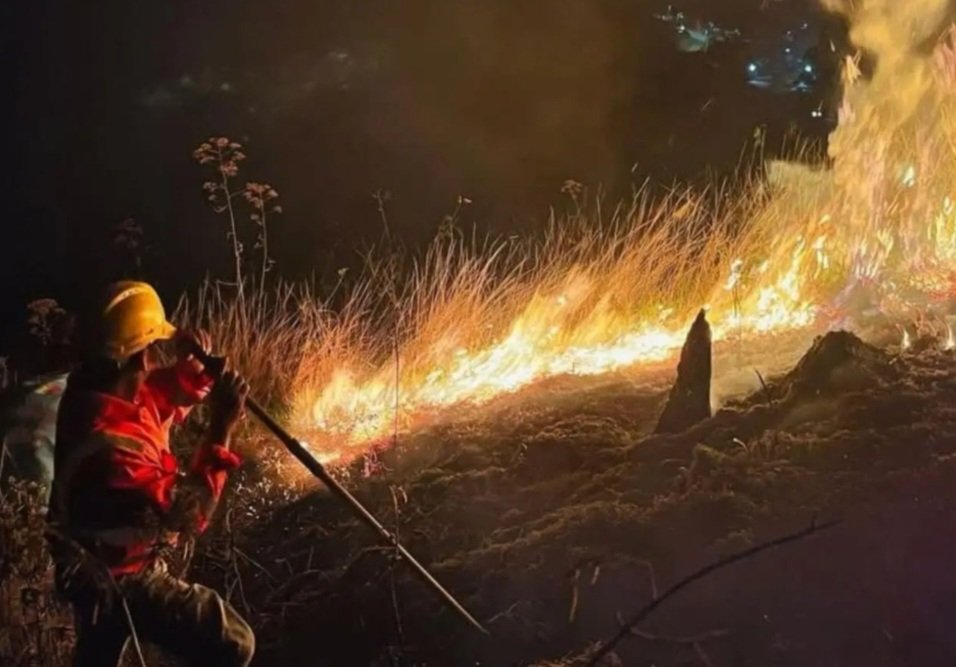Incendio forestal amenaza más de siete hectáreas de bosque entre El Chimbo y El Hatillo