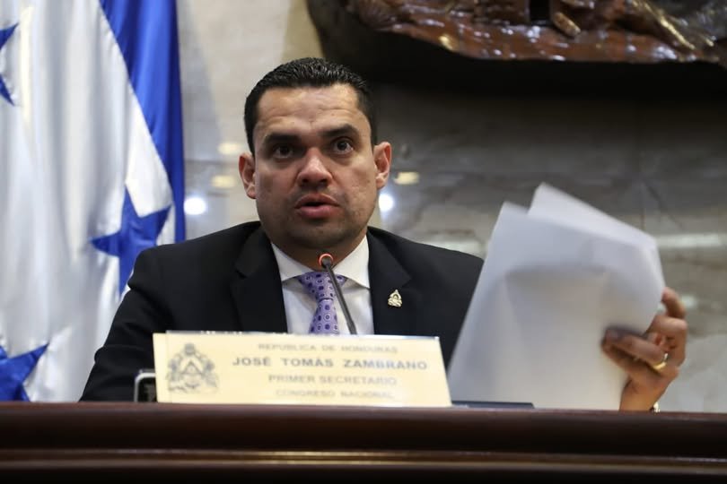 Presidente del Congreso nacional promete que elección en el CNE y TJE será en base a méritos y para garantizar el respeto al estado de derecho