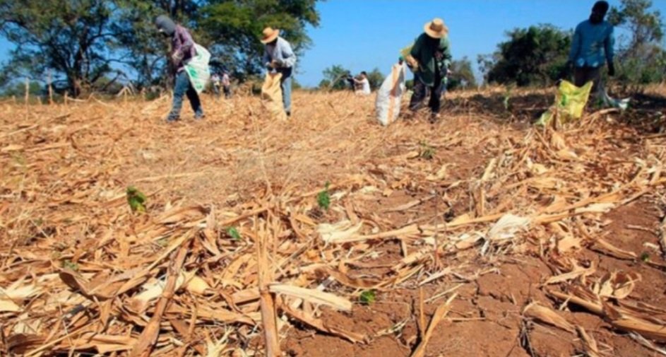 ONU y Gobierno de Honduras coordinan plan para enfrentar impacto de la sequía