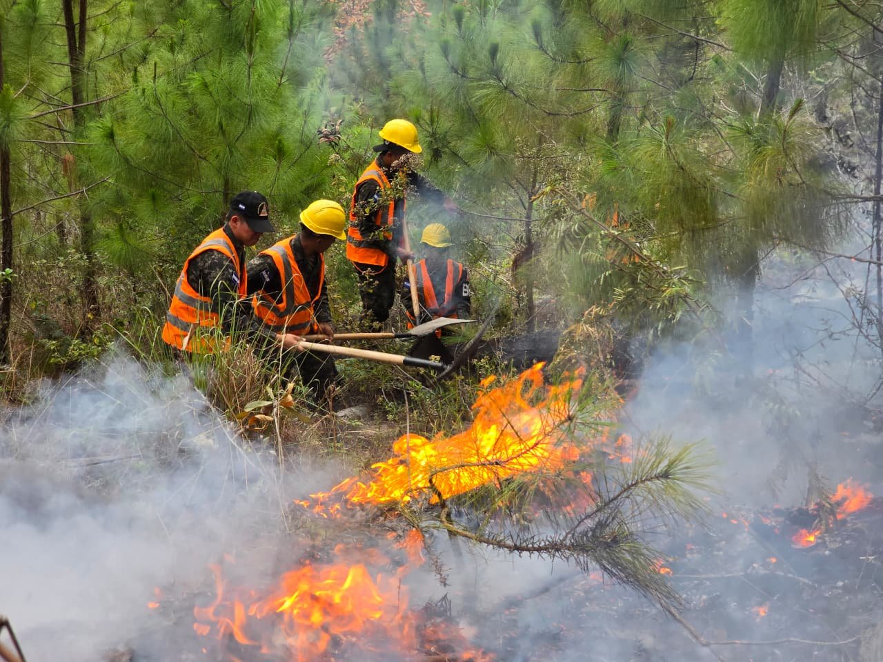 Durante fin de semana FFAA participó en el combate de nueve incendios forestales en varios sectores del país