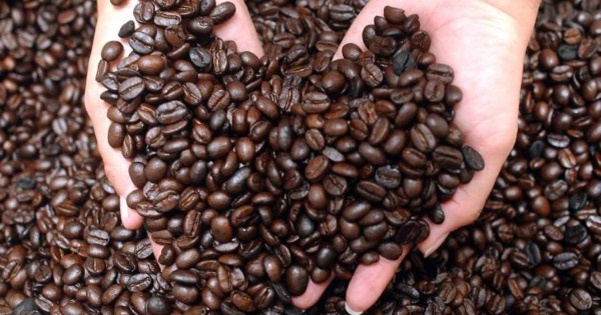 Déficit comercial de Honduras cae un 22,2% en enero por aumento de exportaciones clave