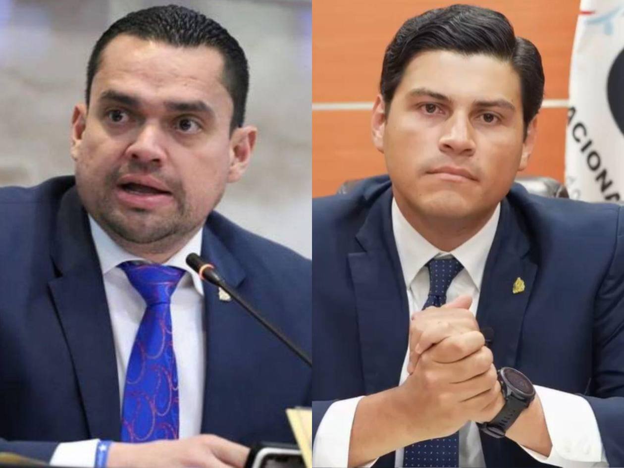 Juicio político contra consejeros del CNE avanza con o sin Marlon Ochoa, asegura Tomás Zambrano
