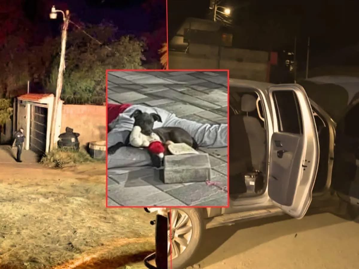 Mascota permanece junto al cuerpo de su dueño, un hondureño asesinado en Guatemala