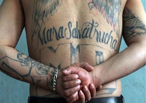 MS-13 y Barrio 18 continúan bajo etiqueta de organizaciones terroristas según EEUU