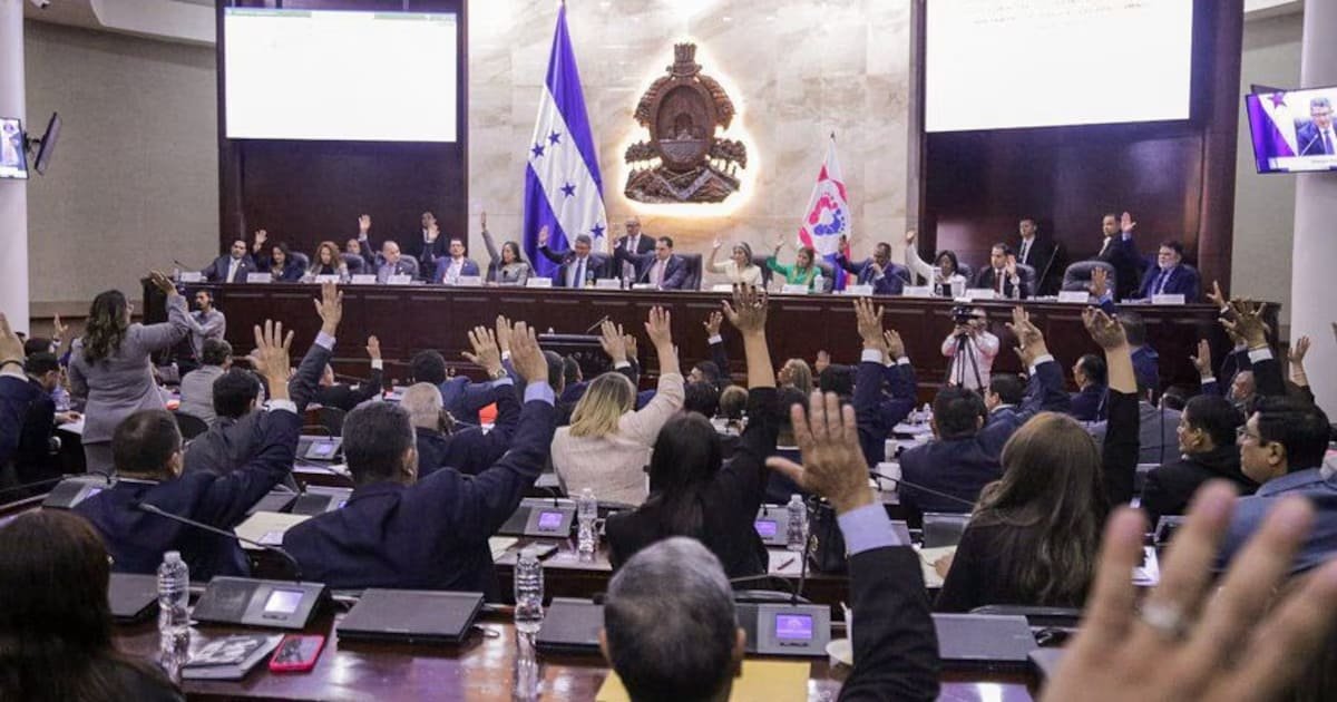 Congreso Nacional aprueba régimen especial para el CNE en medio de protestas de Libre