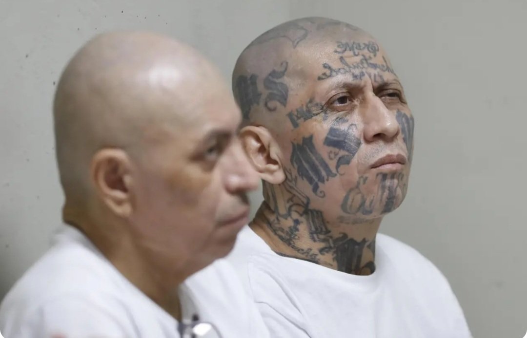 Canadá frena deportación de hondureño que alega riesgo por vínculo con la MS-13