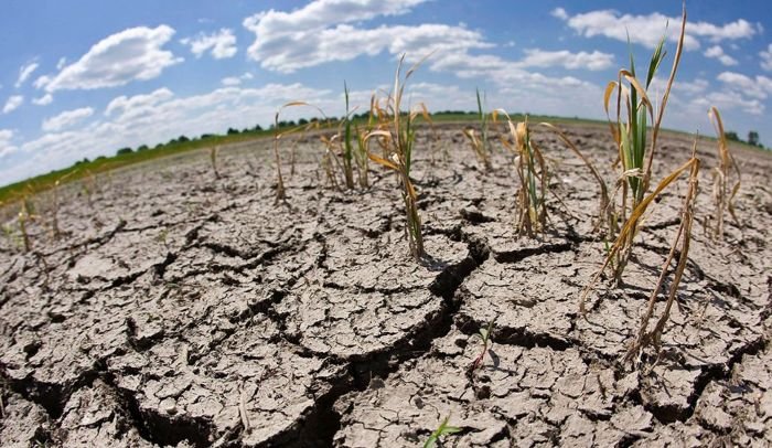 Honduras bajo alerta máxima: COPECO advierte sobre ola de calor histórica y aire contaminado