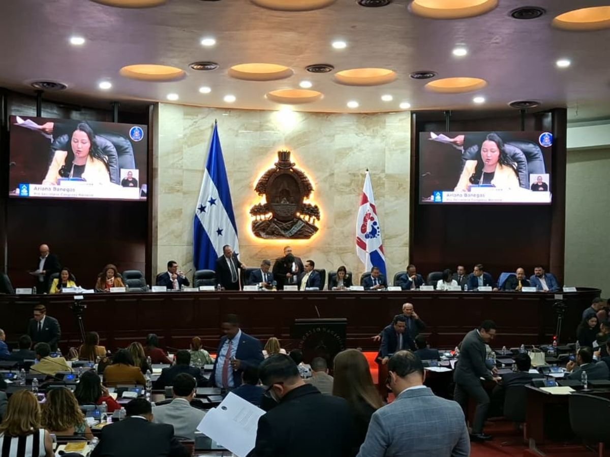 Congreso Nacional habilita plataforma para que ciudadanos conozcan el trabajo y votaciones de los diputados