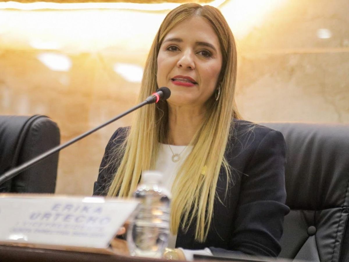 Diputada Tania Pinto asegura que avanzan los consensos para aprobar reformas energéticas y garantiza que la ENEE seguirá siendo patrimonio del Estado