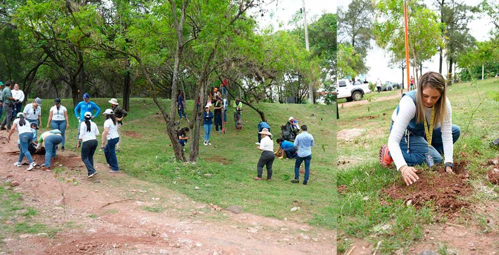 Alcaldía capitalina siembra 120 árboles para recuperar área verde en la capital