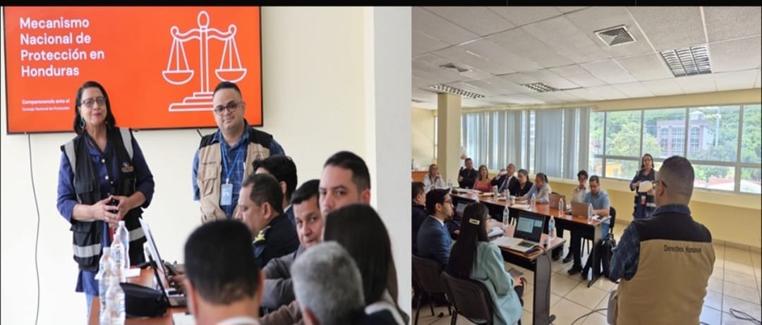JOPRODEH y ASOPODEHU exponen fallas del Mecanismo de Protección en tensa sesión del Consejo Nacional