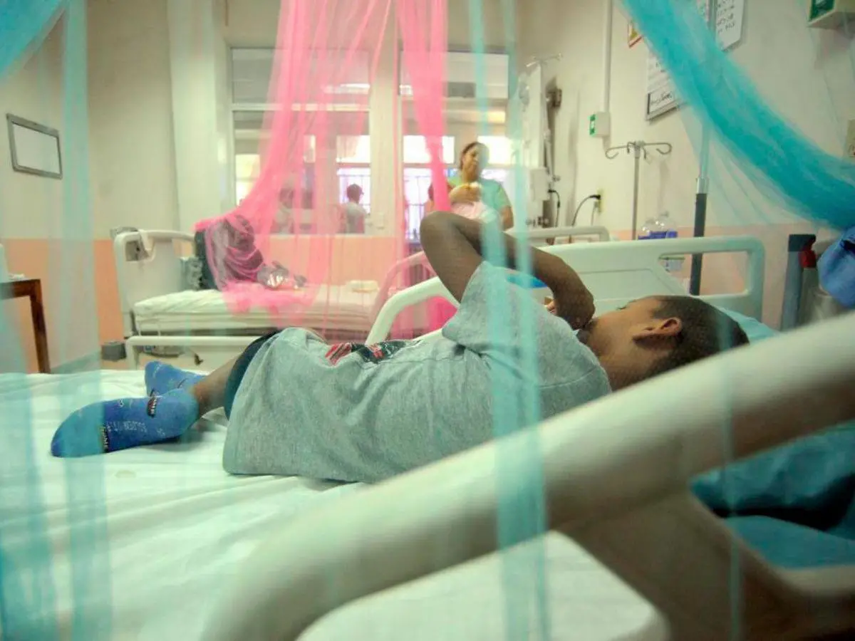 Declaran alerta roja en Tegucigalpa ante aumento de casos de dengue