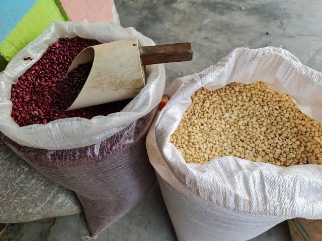 PROGRANO alerta caída en la producción de maíz y frijol por sequía, altos costos y falta de financiamiento