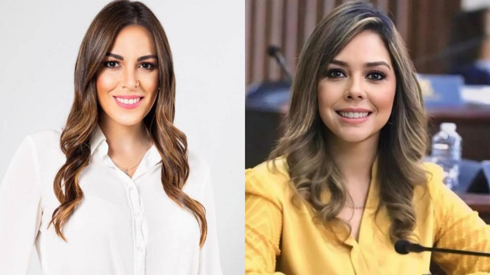 Alia Kafati y María Antonieta Mejía protagonizan intercambio por el futuro de la ENEE