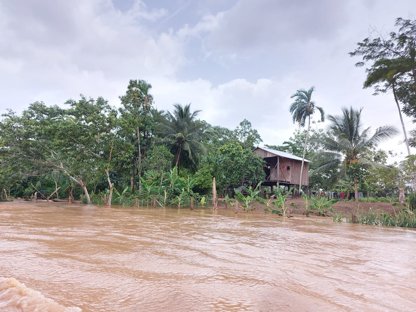 Inundaciones mantienen aisladas a miles de familias en Patuca y Wampusirpi; crecen las pérdidas por lluvias