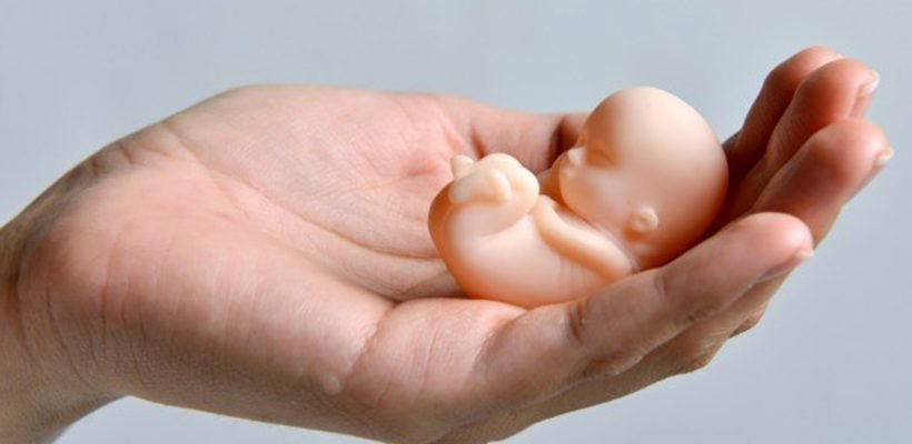 Pleno legislativo respalda investigación sobre posibles redes de aborto clandestino en Honduras