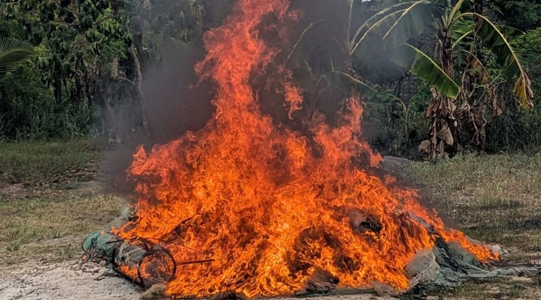 Digepesca intensifica controles y destruye artes de pesca ilegales tras operativos durante la veda del camarón