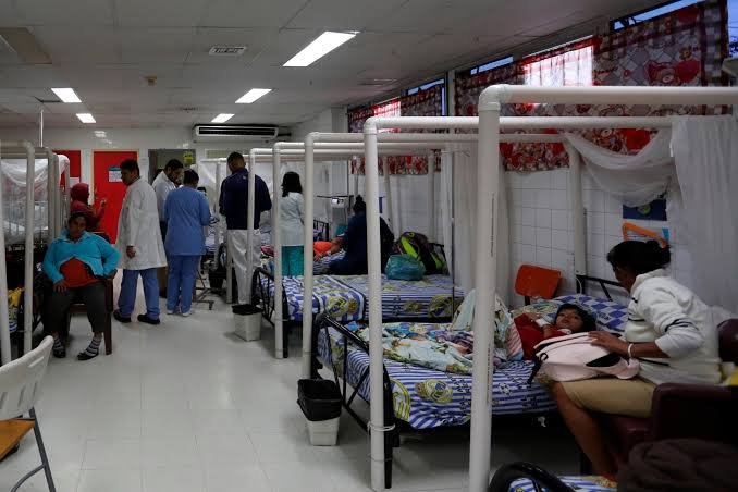 ¡Preocupante! Honduras supera los 5 mil casos de dengue y reporta 232 contagios de gusano barrenador en lo que va del año