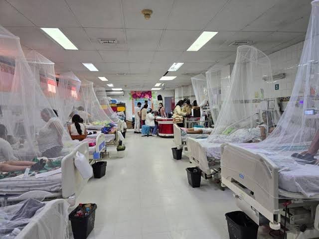 Hospital Escuela reporta nueve pacientes hospitalizados por dengue